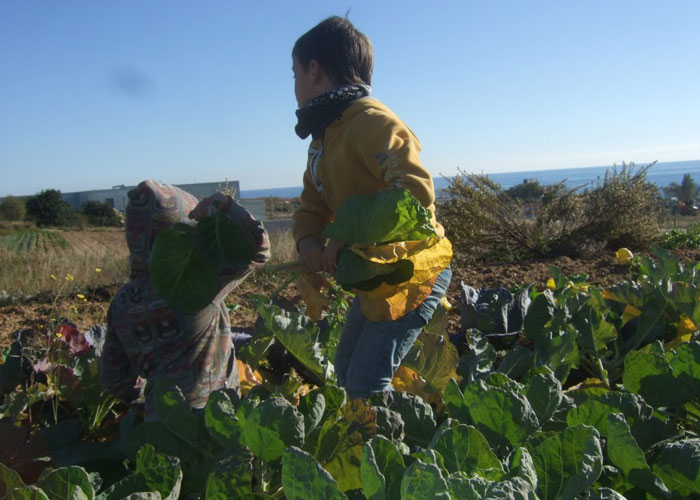 Aurora Agrícola